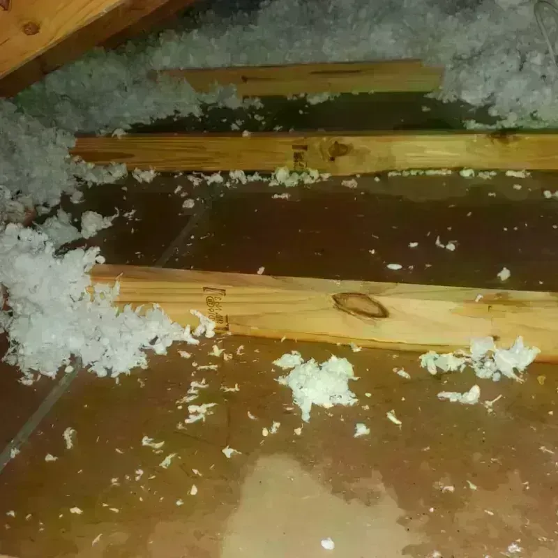 Attic Water Damage in Giles County, VA